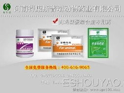 深耕禽藥市場，把握代理機(jī)遇 從鴨藥到品牌的全方位指南